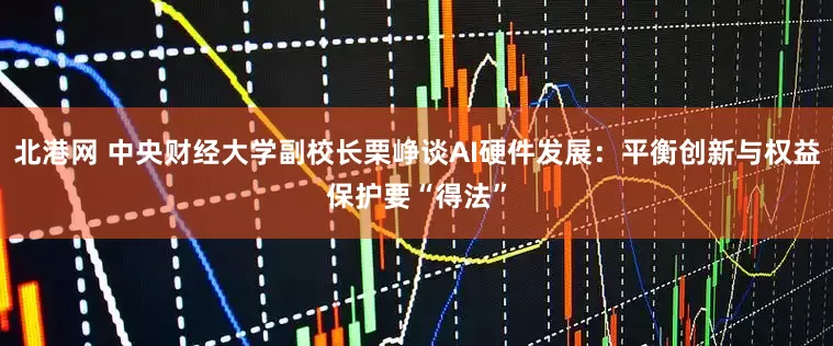 北港网 中央财经大学副校长栗峥谈AI硬件发展：平衡创新与权益保护要“得法”