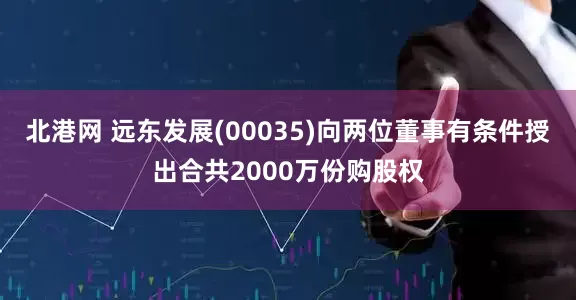 北港网 远东发展(00035)向两位董事有条件授出合共2000万份购股权